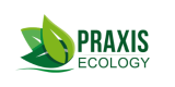 LOGOTIPO1